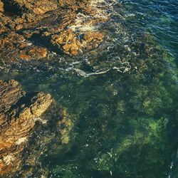 Full frame shot of sea water