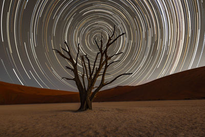 Bare tree in desert against sky at night