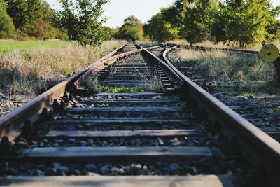 Surface level of railroad tracks against trees