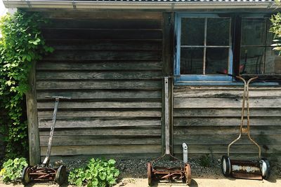 Potted plants outside house