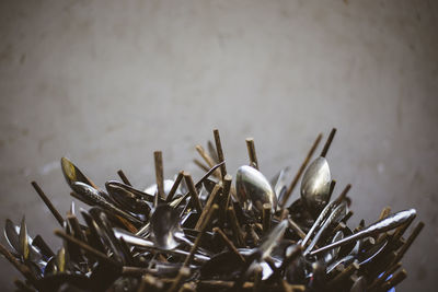 Close-up of chopsticks and spoons against wall