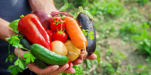 Close-up of vegetables