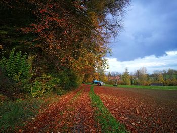 Road amidst trees on field during autumn