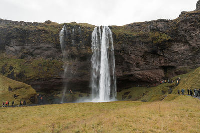 Scenic view of waterfall in forest