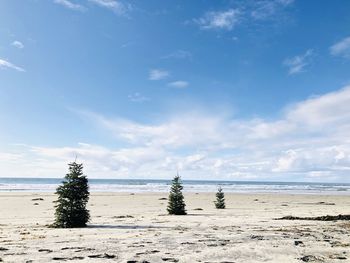 Scenic view of beach against sky