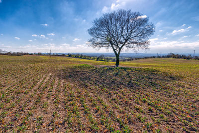 Scenic view of field against cloudy sky