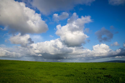 Scenic view of field against sky