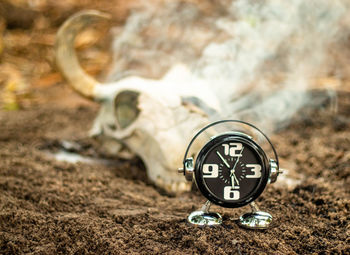 Close-up of information sign on field
