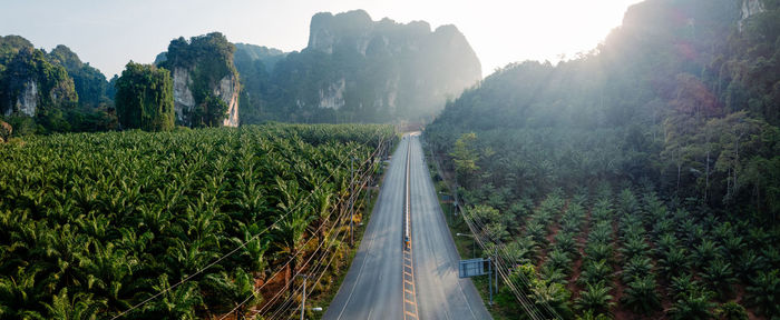 Panoramic view of road amidst trees against sky