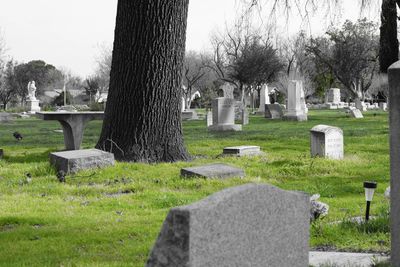 View of cemetery