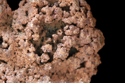 Close-up of chocolate cake against black background