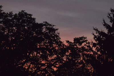 Low angle view of silhouette trees against sky at sunset