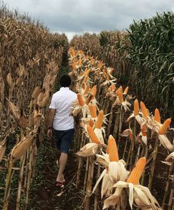 Rear view of woman standing on field against sky