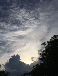 Low angle view of silhouette trees against sky