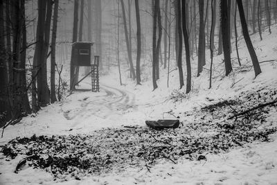 Snow covered field by trees in forest