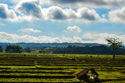 Scenic view of field against cloudy sky