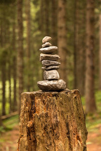 Close-up of stone stack on rock in forest