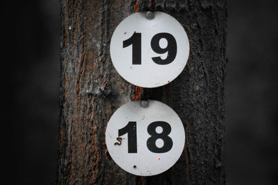 Close-up of numbers on tree trunk