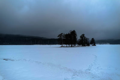Snow covered trees on field