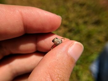 Close-up of hand holding hands