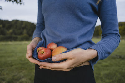 Woman carrying apples in her sweater in the countryside