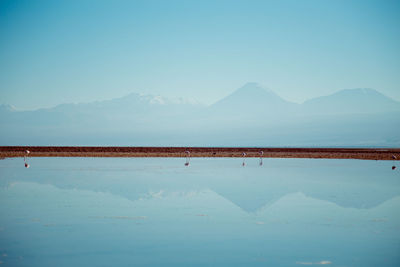 Scenic view of snowcapped mountains against clear blue sky