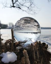 Close-up of frozen water