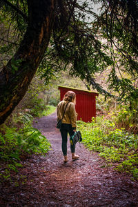 Rear view of man walking in forest