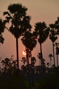 Silhouette palm trees against sky during sunset
