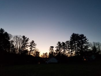 Silhouette of trees at sunset