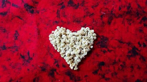 Directly above shot of heart shape on red cake