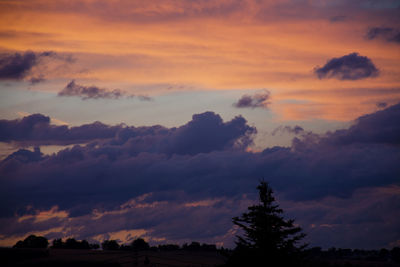 Low angle view of silhouette trees against orange sky