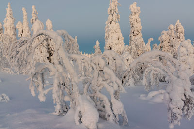 Scenic view of snow covered land against sky