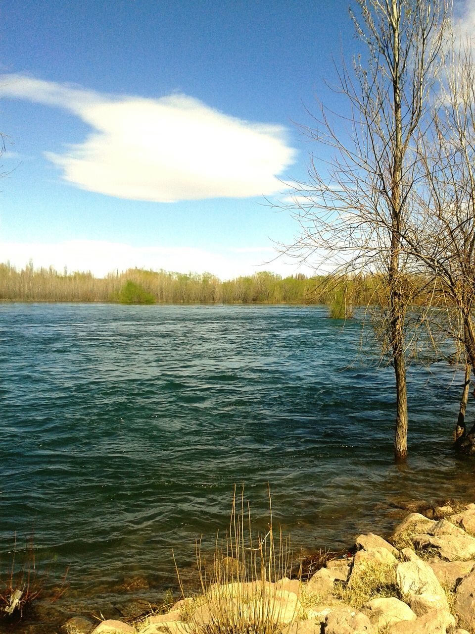 water, sky, tranquil scene, tranquility, tree, scenics, bare tree, lake, beauty in nature, nature, cloud - sky, cloud, lakeshore, rippled, river, non-urban scene, idyllic, blue, riverbank, day