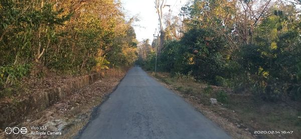 Road amidst trees in forest during autumn