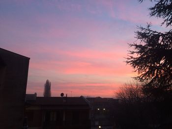 Low angle view of silhouette trees against sky at sunset