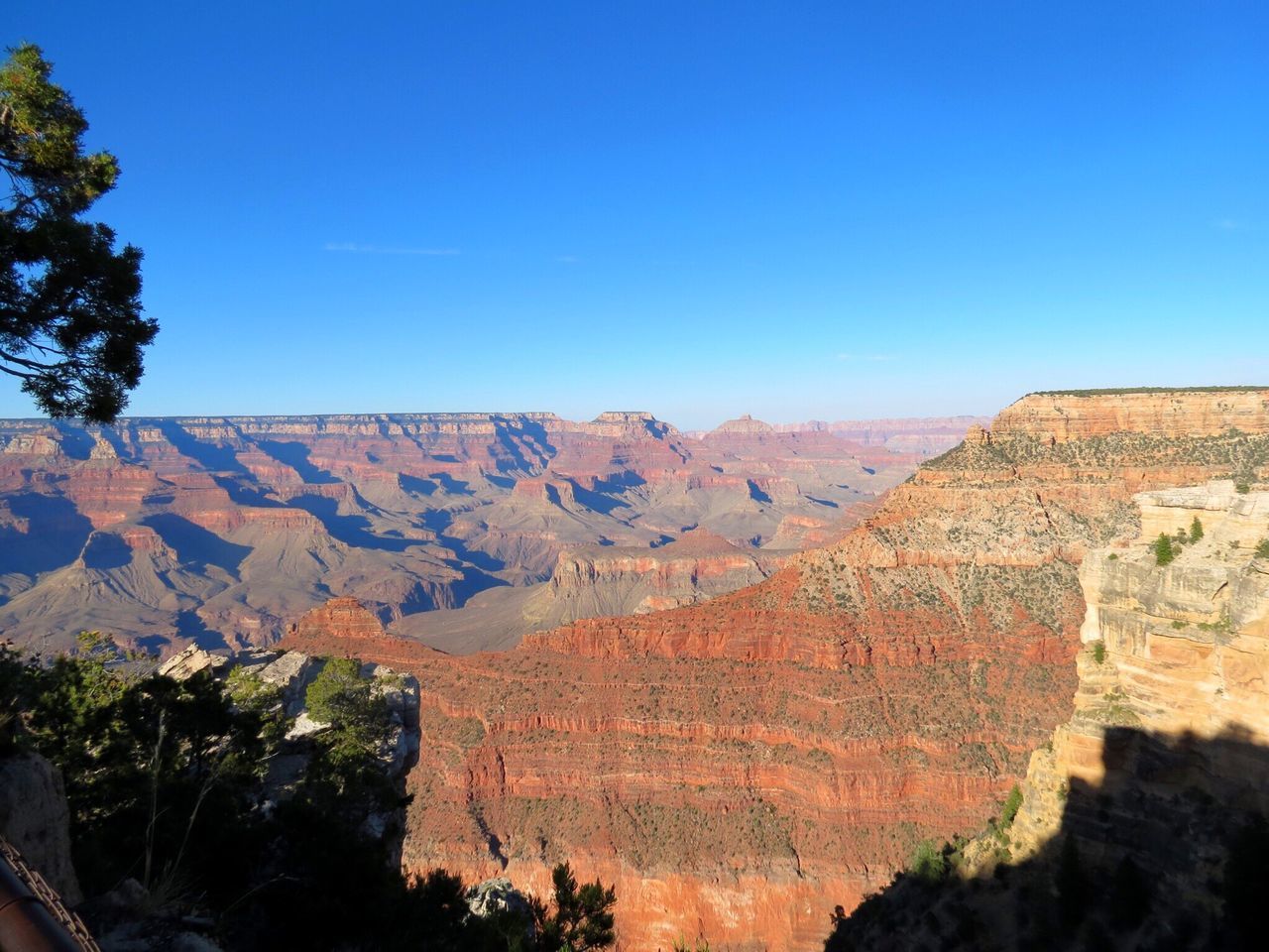 tree, clear sky, tranquil scene, scenics, blue, tranquility, beauty in nature, travel destinations, physical geography, tourism, nature, non-urban scene, geology, mountain, remote, day, national park, natural landmark, no people, outdoors, extreme terrain, international landmark, sky, rock formation, horizon over land, famous place, eroded, rocky mountains, treetop, wilderness, mountain range