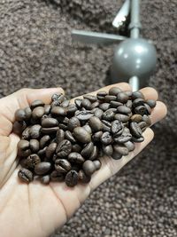 Close-up of hand holding coffee beans