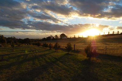 Scenic view of field against sky during sunset