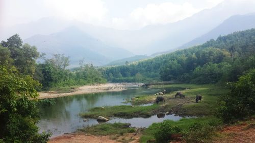 Scenic view of lake and mountains