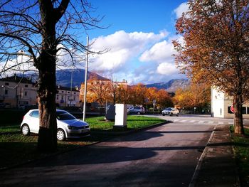 Street amidst trees in city against sky