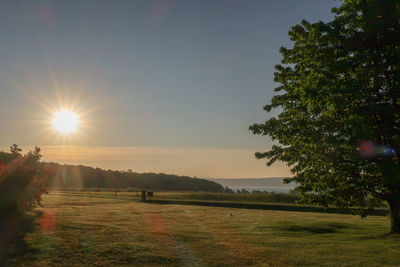 Scenic view of field against sky during sunset