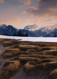 Scenic view of lake by snowcapped mountains against sky during sunset