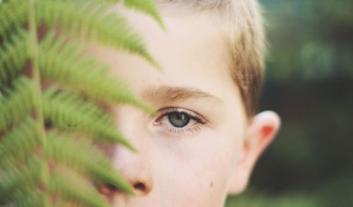 Close-up portrait of boy by fern