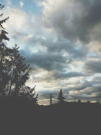 Low angle view of silhouette trees against sky