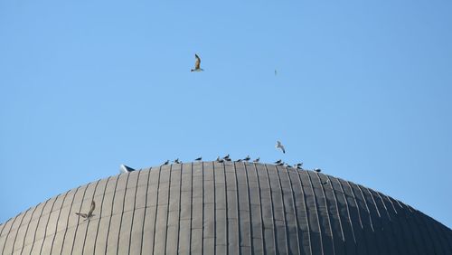 Low angle view of modern building against sky with birds