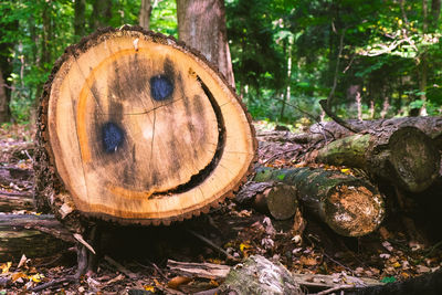 Close-up of smiley face carved on log in forest