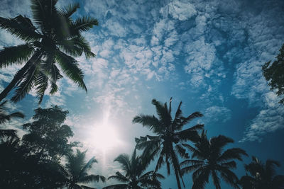 Low angle view of silhouette palm trees against sky