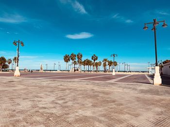 Palm trees on beach against blue sky