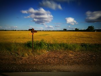 Scenic view of field against clear sky